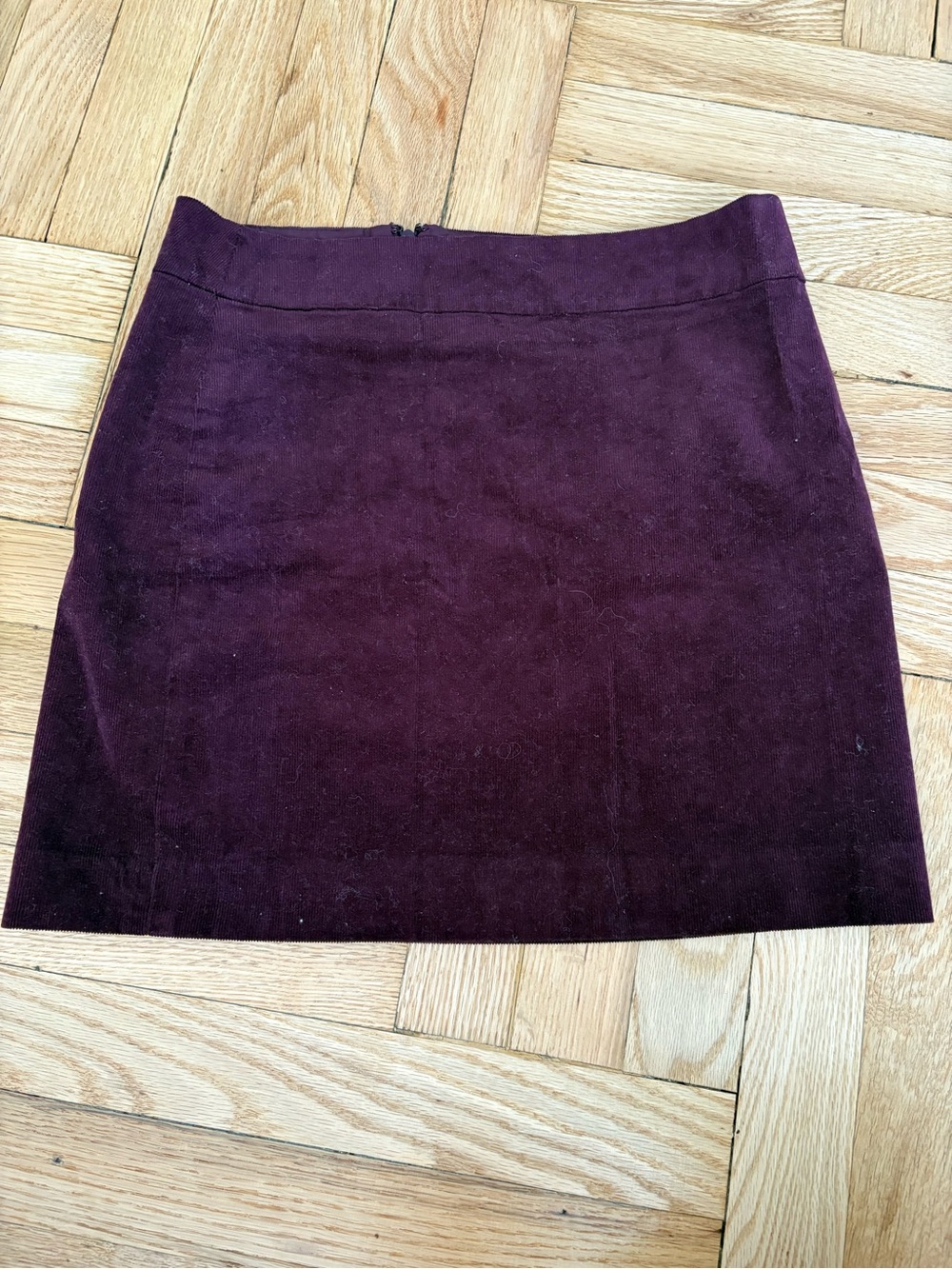 Banana Republic Plum Mini Skirt